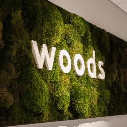 WOODS stabiloitu sammalseinä logolla