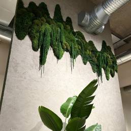 Yellow Corner Studio Vallila stabiloitu sammalseinä