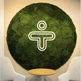 Mediq stabiloitu sammalseinä logolla