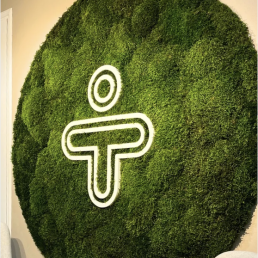 Mediq stabiloitu sammalseinä logolla